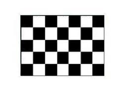 Buy CHECKERED FLAG in NZ New Zealand.