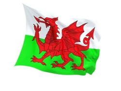 Buy WALES FLAG in NZ New Zealand.