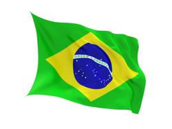 Buy BRAZIL FLAG in NZ New Zealand.