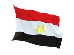 Buy EGYPT FLAG in NZ New Zealand.
