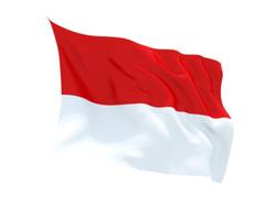 Buy INDONESIA FLAG in NZ New Zealand.