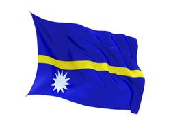 Buy NAURU FLAG in NZ New Zealand.
