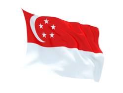 Buy SINGAPORE FLAG in NZ New Zealand.