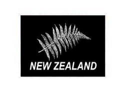 Buy NEW ZEALAND FERN FLAG in NZ New Zealand.
