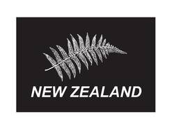 Buy NEW ZEALAND FERN FLAG in NZ New Zealand.