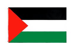 Buy PALESTINE FLAG in NZ New Zealand.
