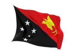 Buy PAPUA NEW GUINEA FLAG in NZ New Zealand.