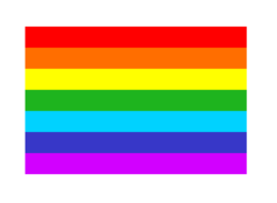 Buy RAINBOW FLAG in NZ New Zealand.