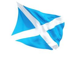 Buy SCOTLAND FLAG - SAINT ANDREWS CROSS FLAG in NZ New Zealand.