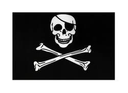 Buy SKULL AND CROSSBONES (JOLLY ROGER) FLAG in NZ New Zealand.