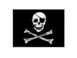 Buy SKULL AND CROSSBONES FLAG in NZ New Zealand.