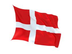 Buy DENMARK FLAG in NZ New Zealand.