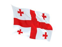 Buy GEORGIA FLAG in NZ New Zealand.