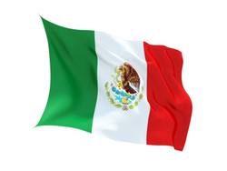 Buy MEXICO FLAG in NZ New Zealand.