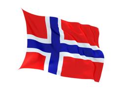 Buy NORWAY FLAG in NZ New Zealand.