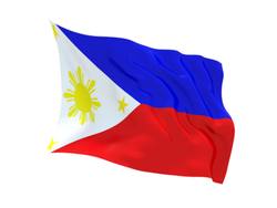 Buy PHILLIPINES FLAG in NZ New Zealand.