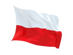 Buy POLAND FLAG in NZ New Zealand.