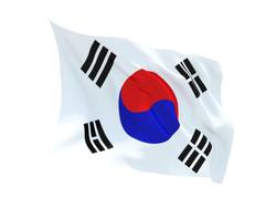 Buy SOUTH KOREA FLAG in NZ New Zealand.