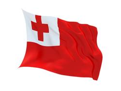 Buy TONGA FLAG in NZ New Zealand.