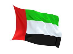 Buy UNITED ARAB EMIRATES FLAG in NZ New Zealand.