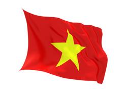 Buy VIETNAM FLAG in NZ New Zealand.